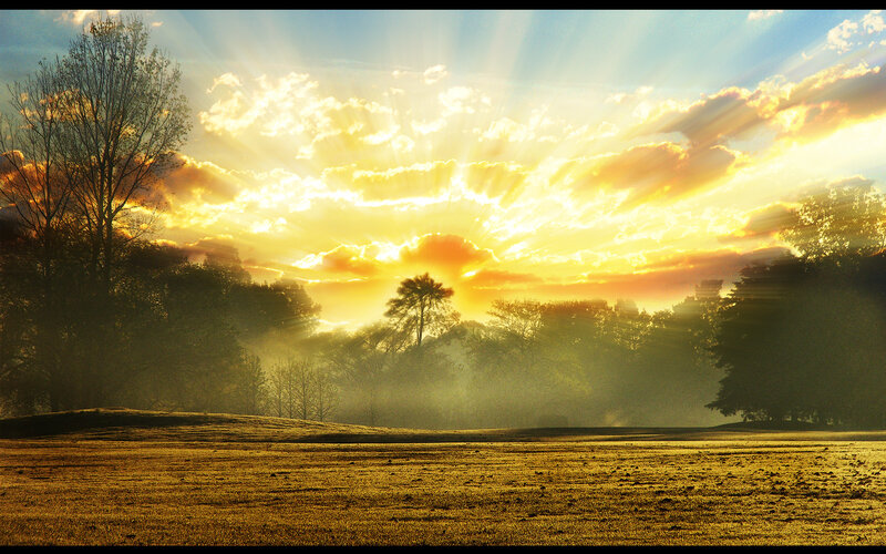 Sunrise over a misty field
