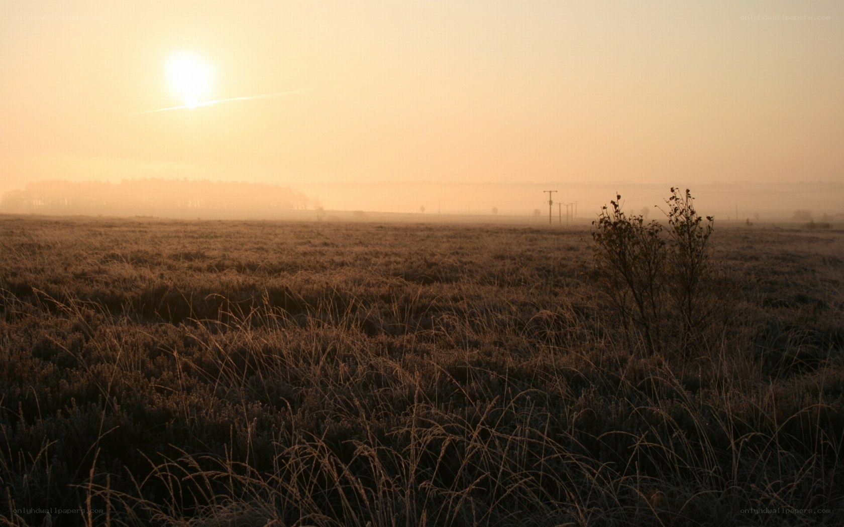 Sunrise over a misty field