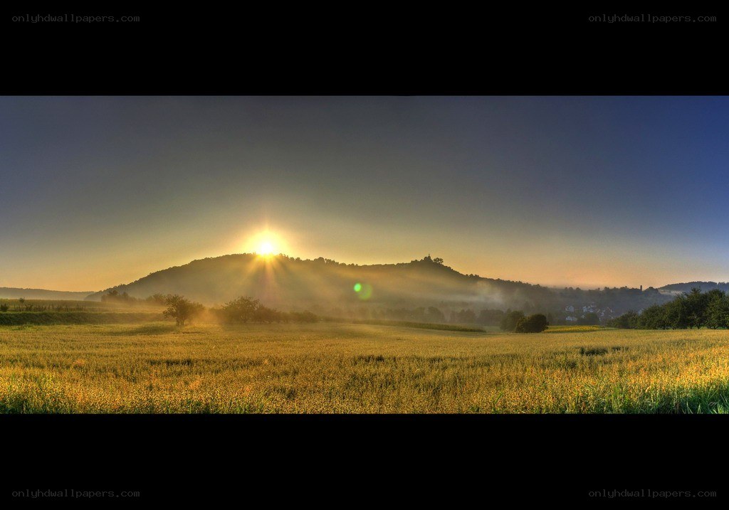 Sunrise over a misty field