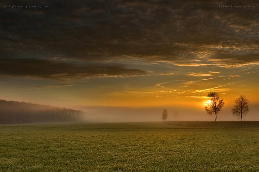 Sunrise over a misty field