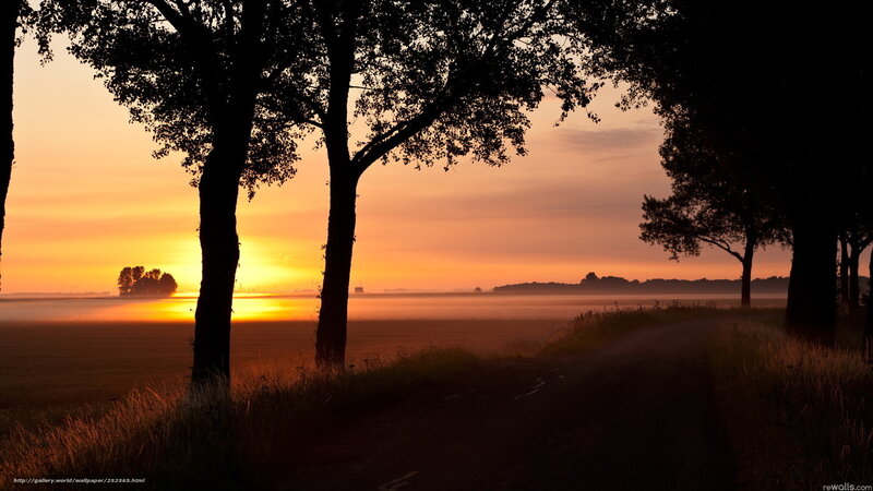 Sunrise over a misty field