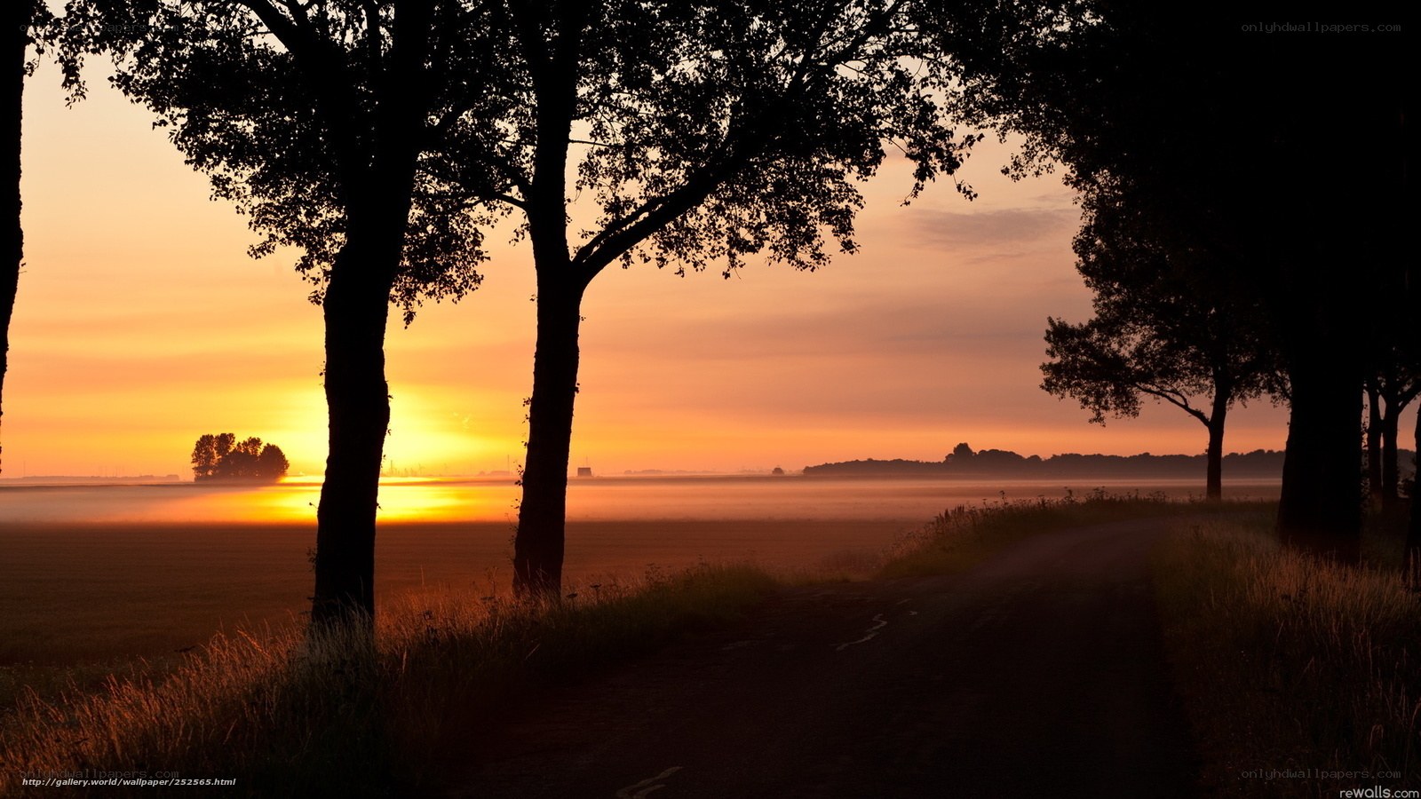Sunrise over a misty field