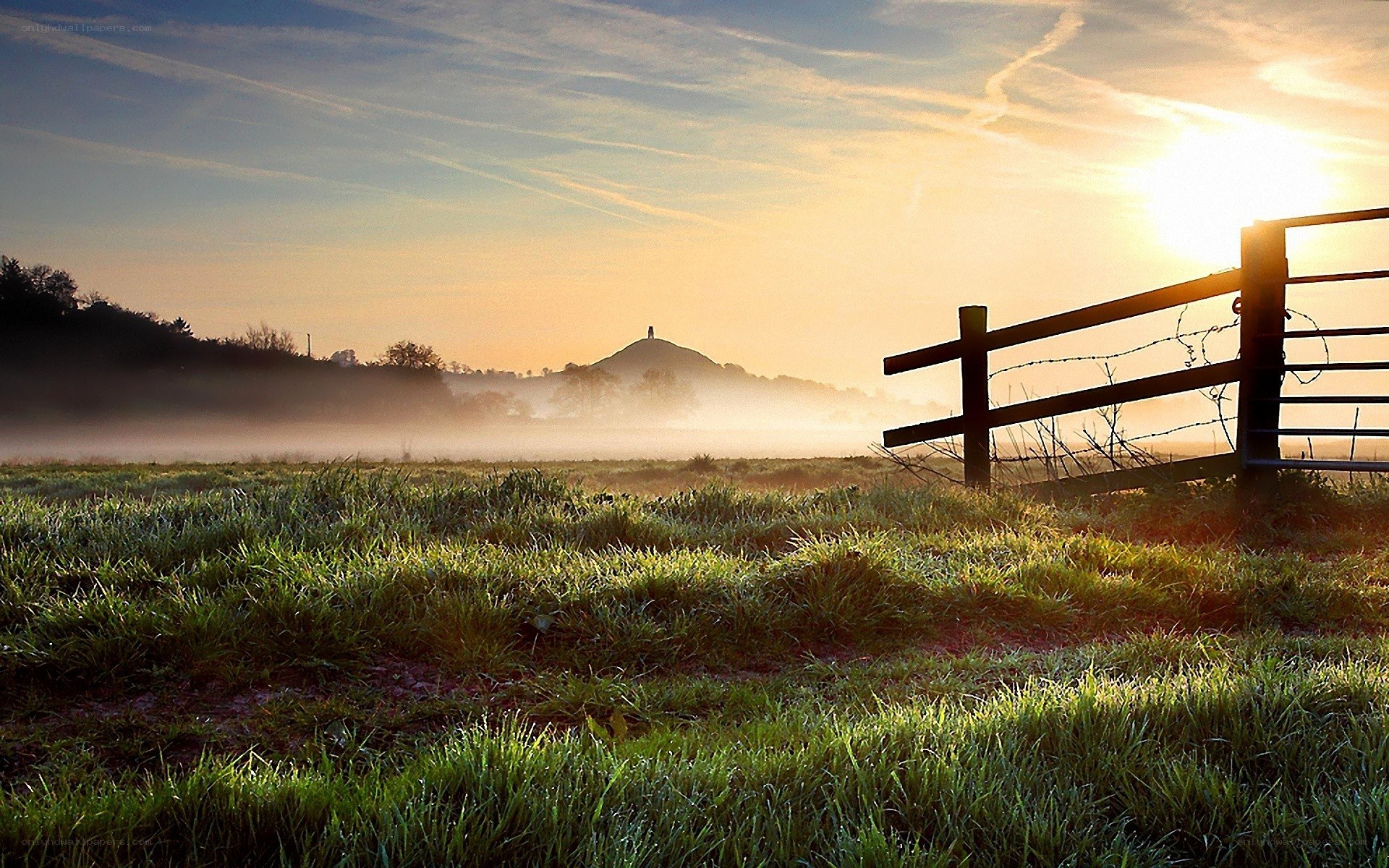 Sunrise over a misty field