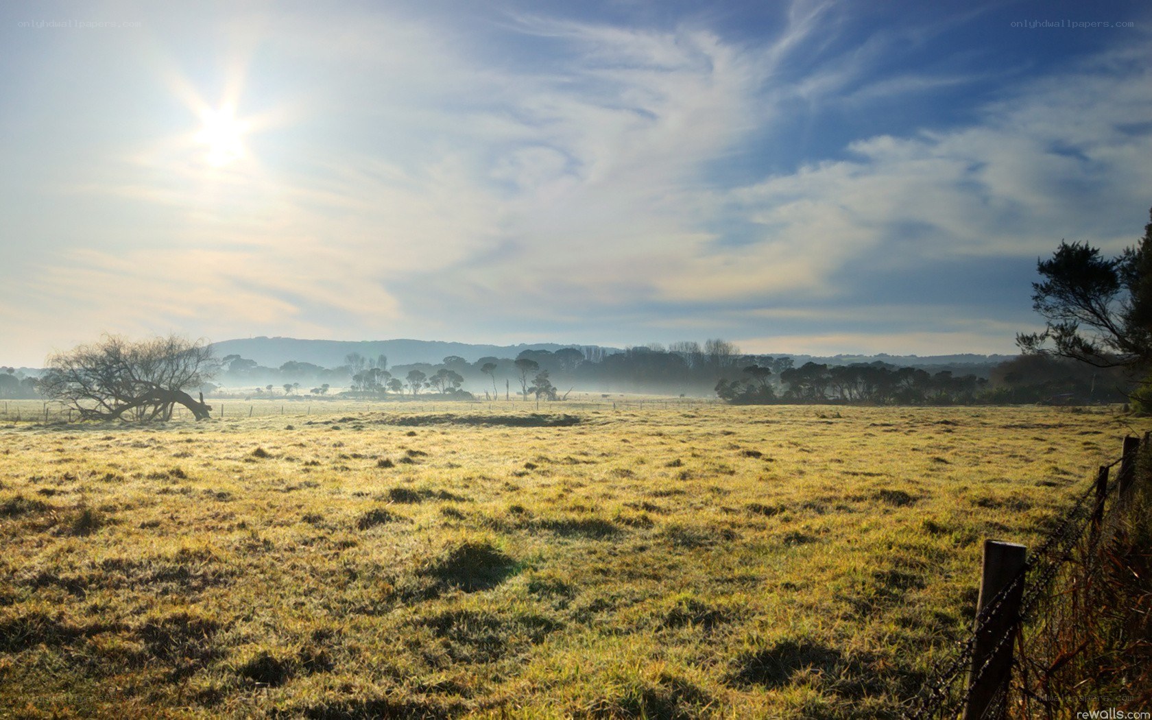 Sunrise over a misty field