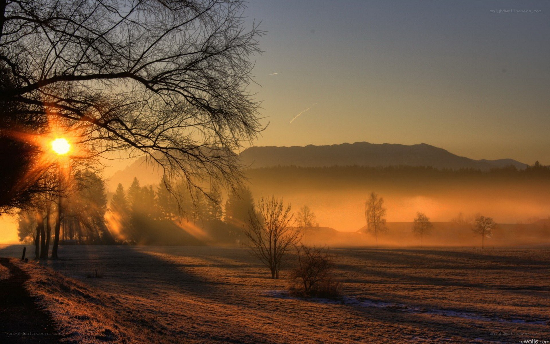 Sunrise over a misty field