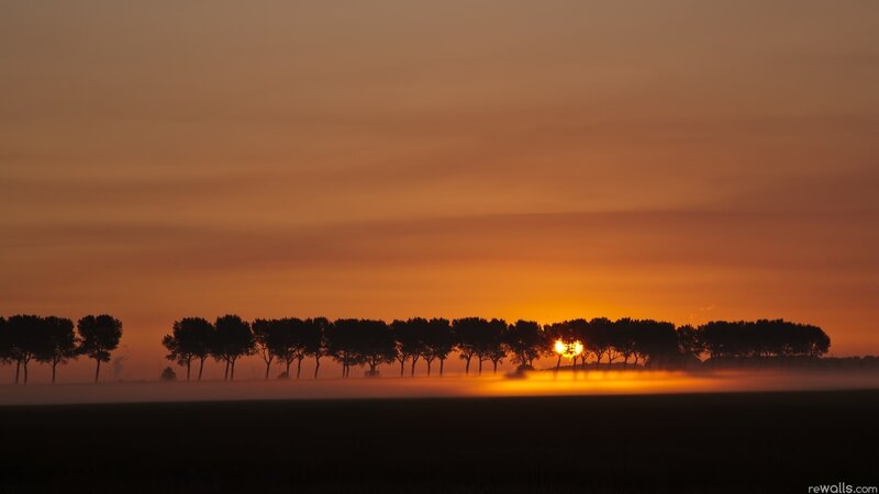 Sunrise over a misty field