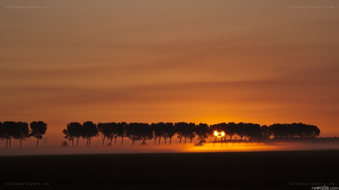 Sunrise over a misty field