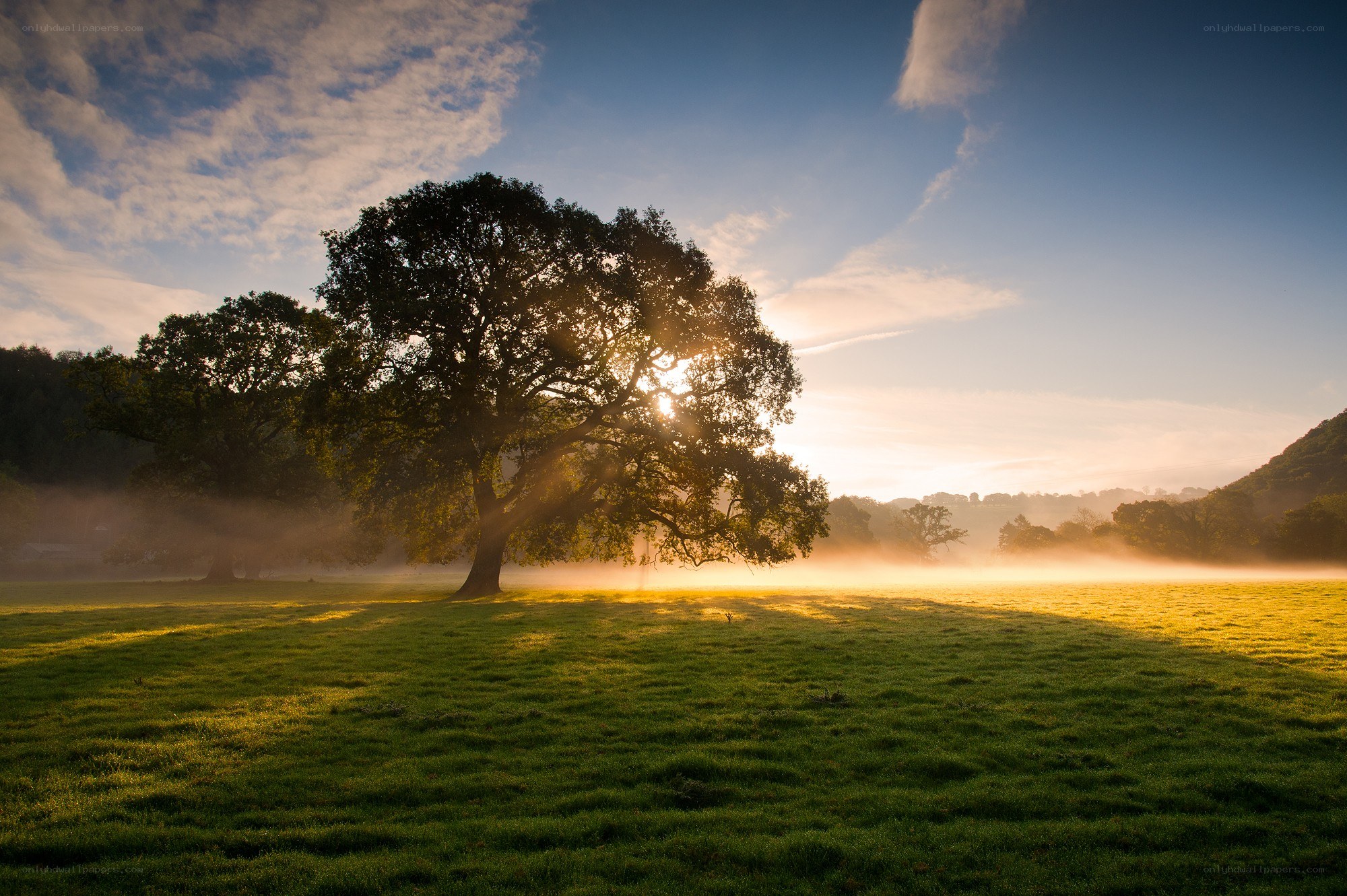 Sunrise over a misty field