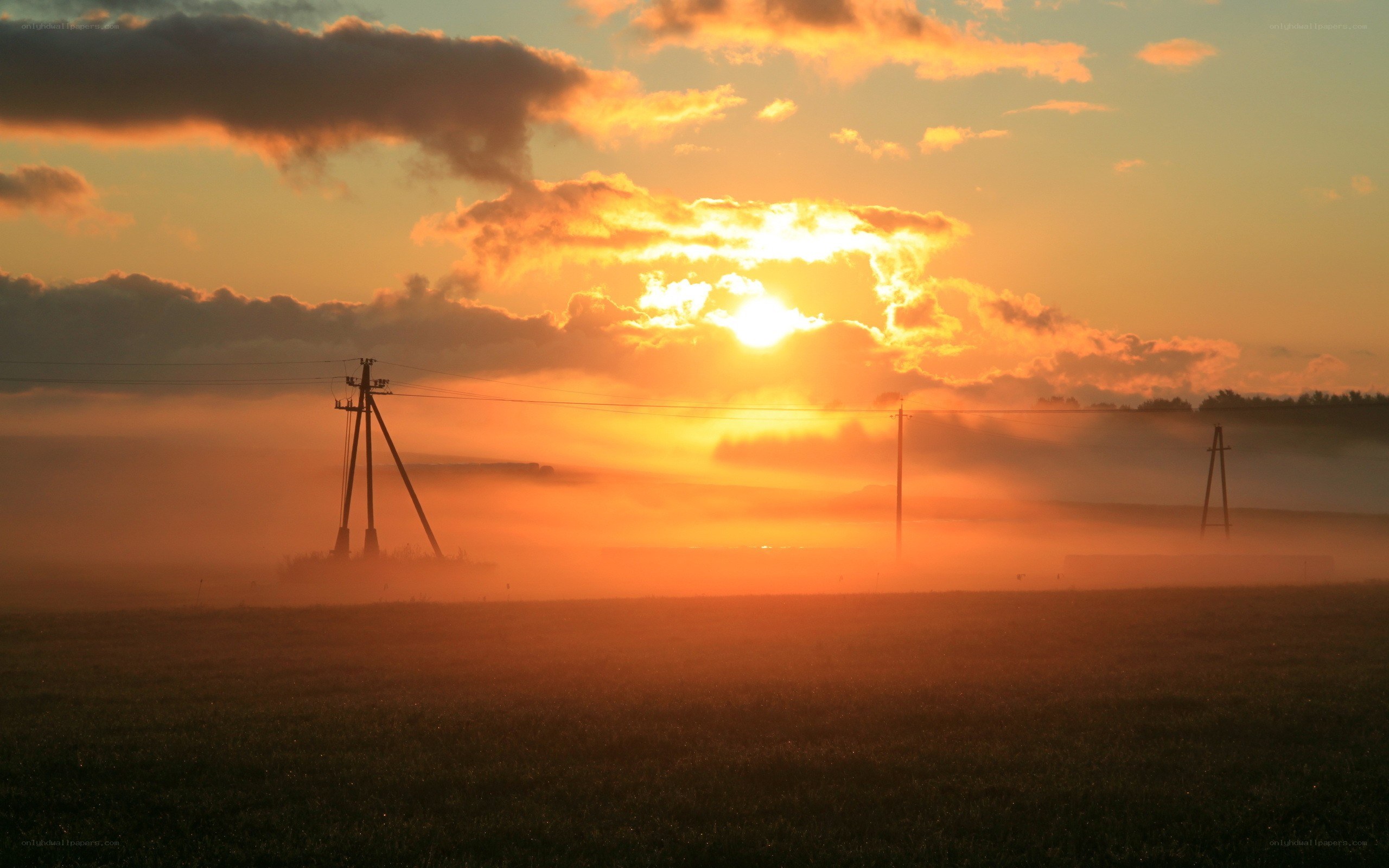 Sunrise over a misty field