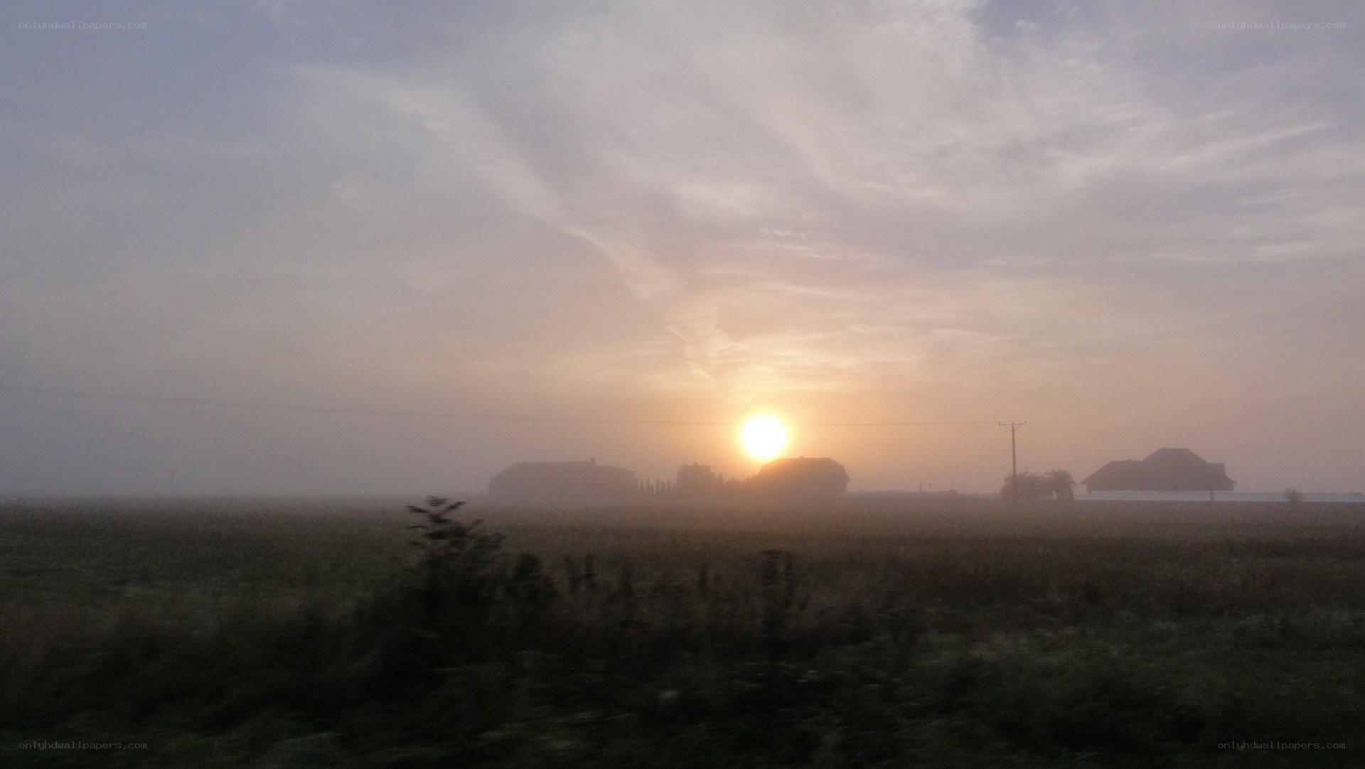 Sunrise over a misty field