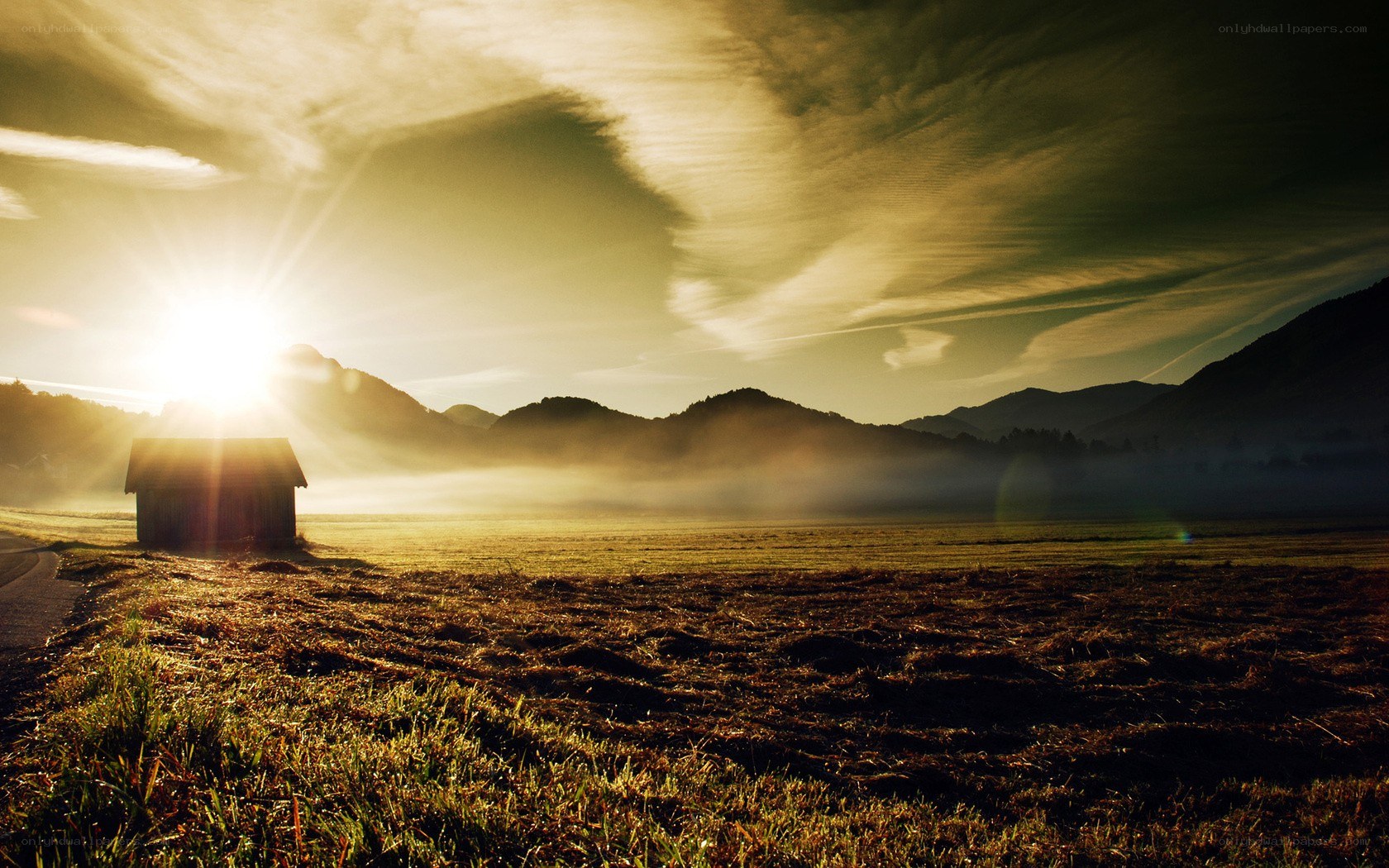 Sunrise over a misty field