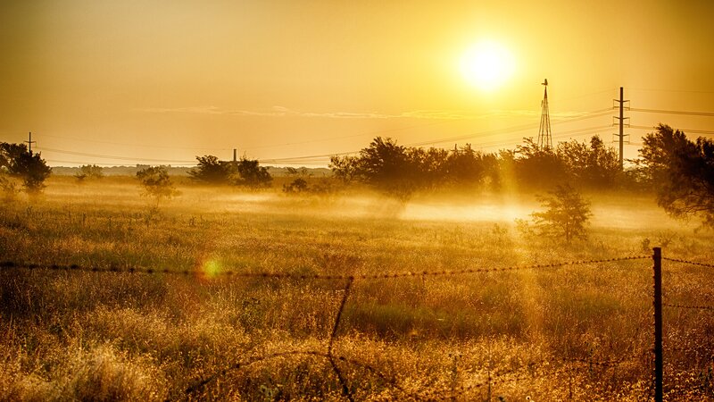 Sunrise over a misty field