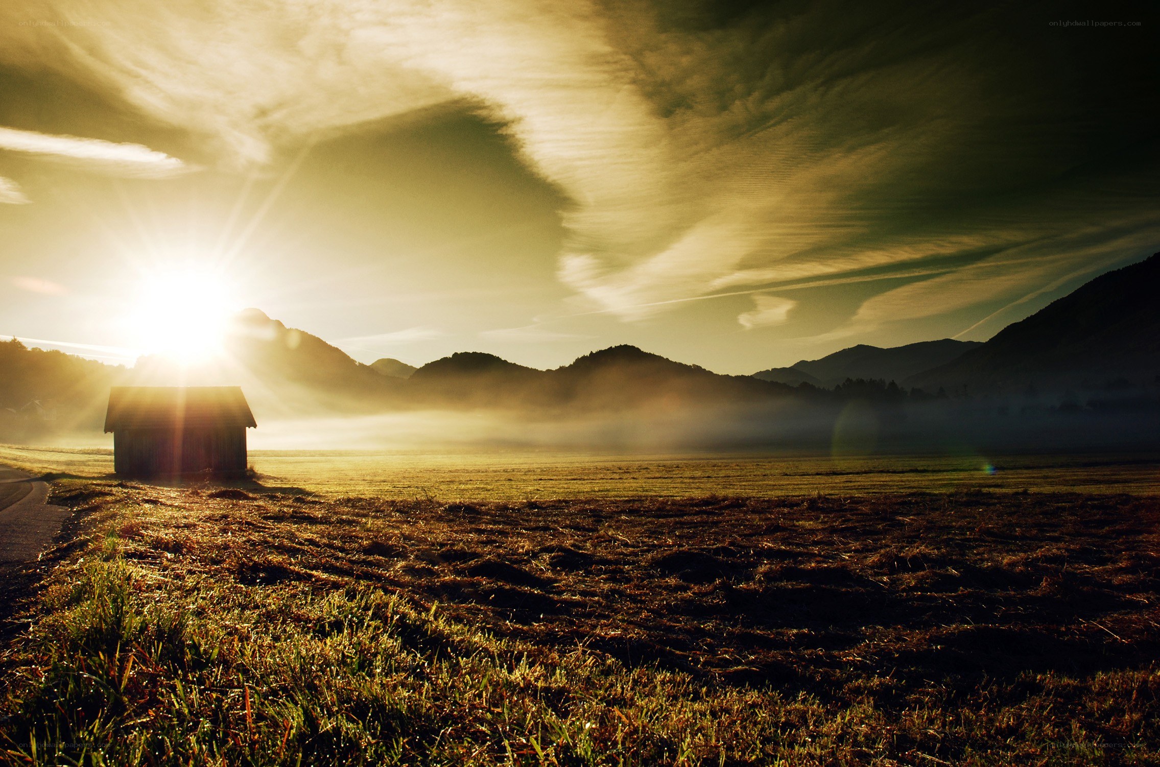 Sunrise over a misty field