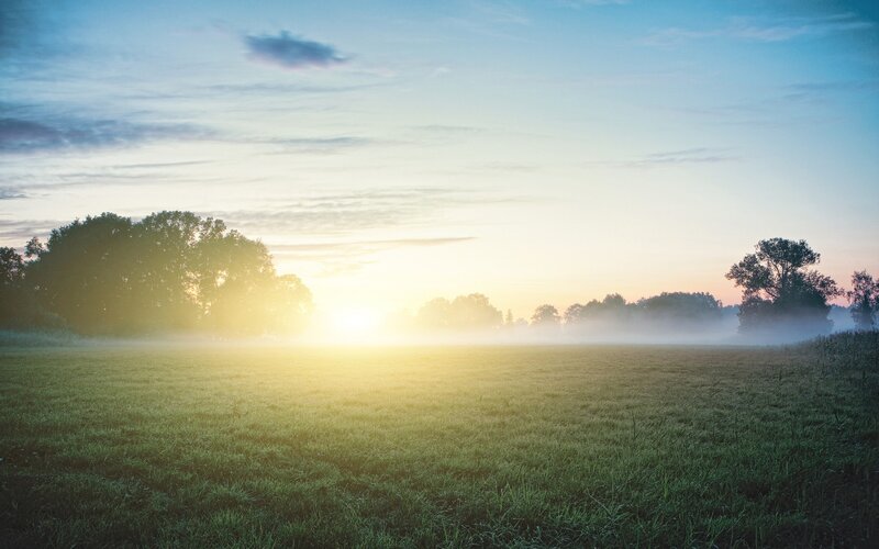 Sunrise over a misty field