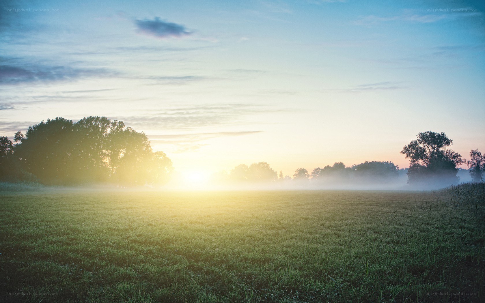 Sunrise over a misty field