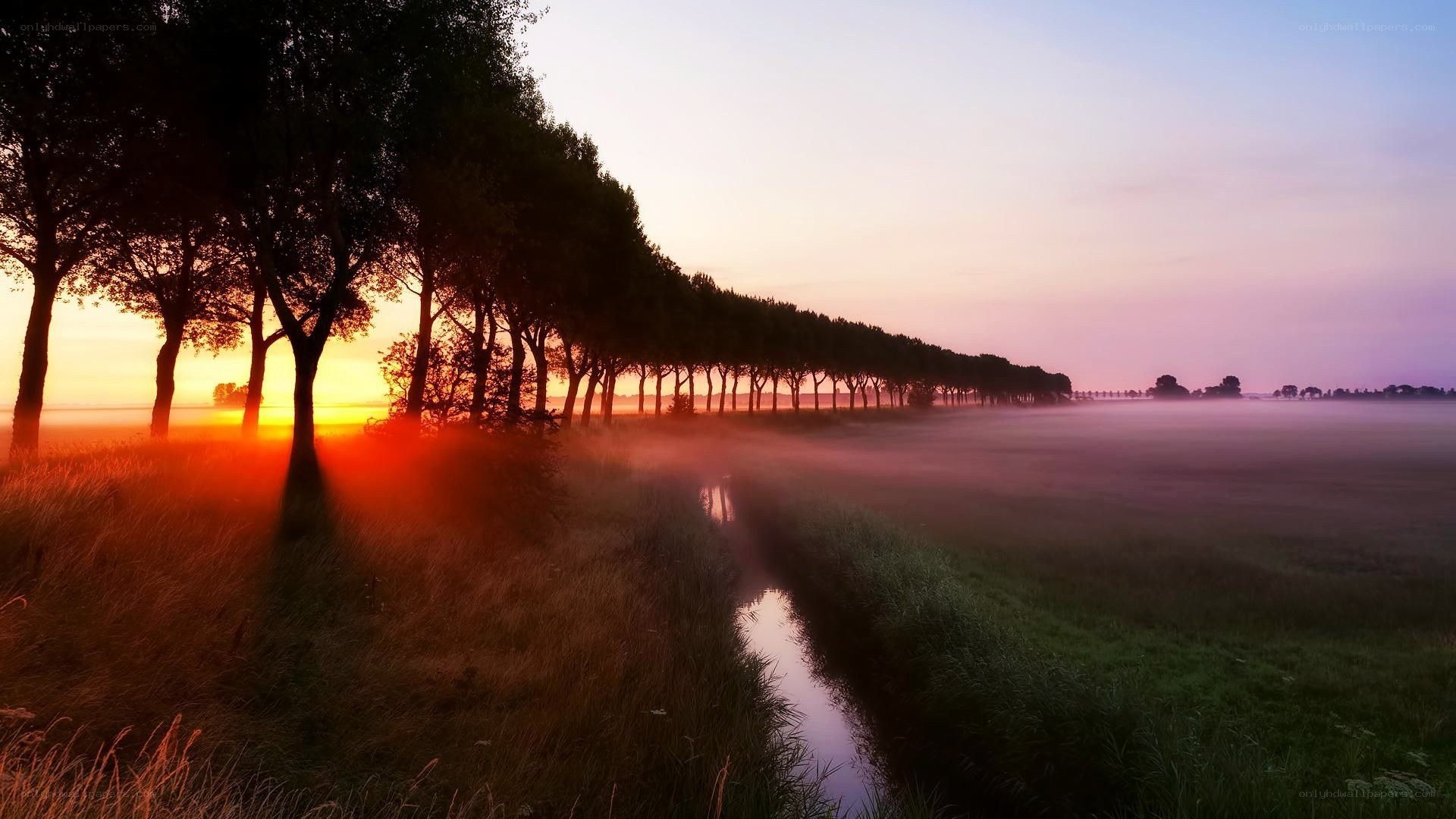 Sunrise over a misty field
