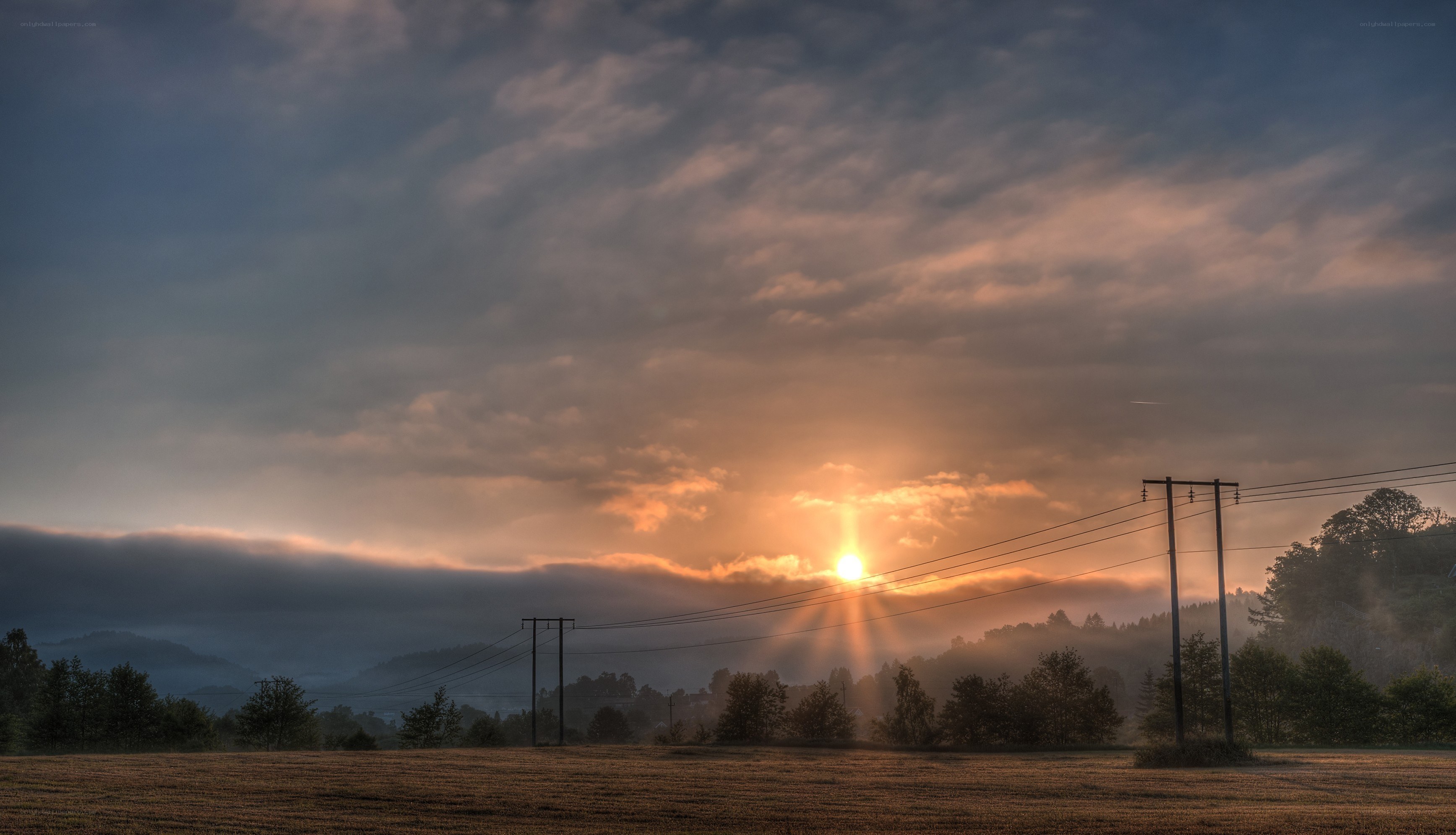 Sunrise over a misty field