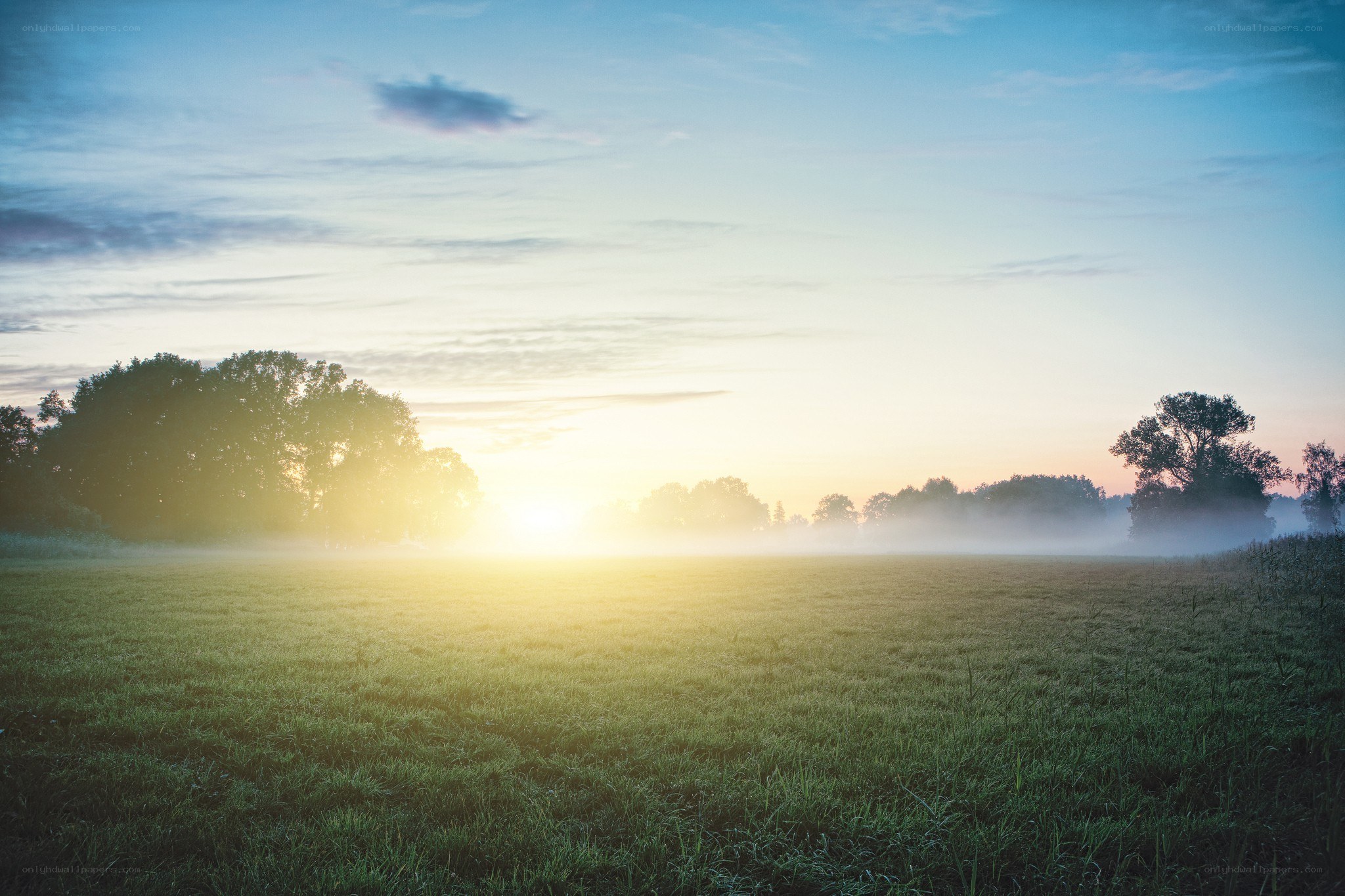 Sunrise over a misty field