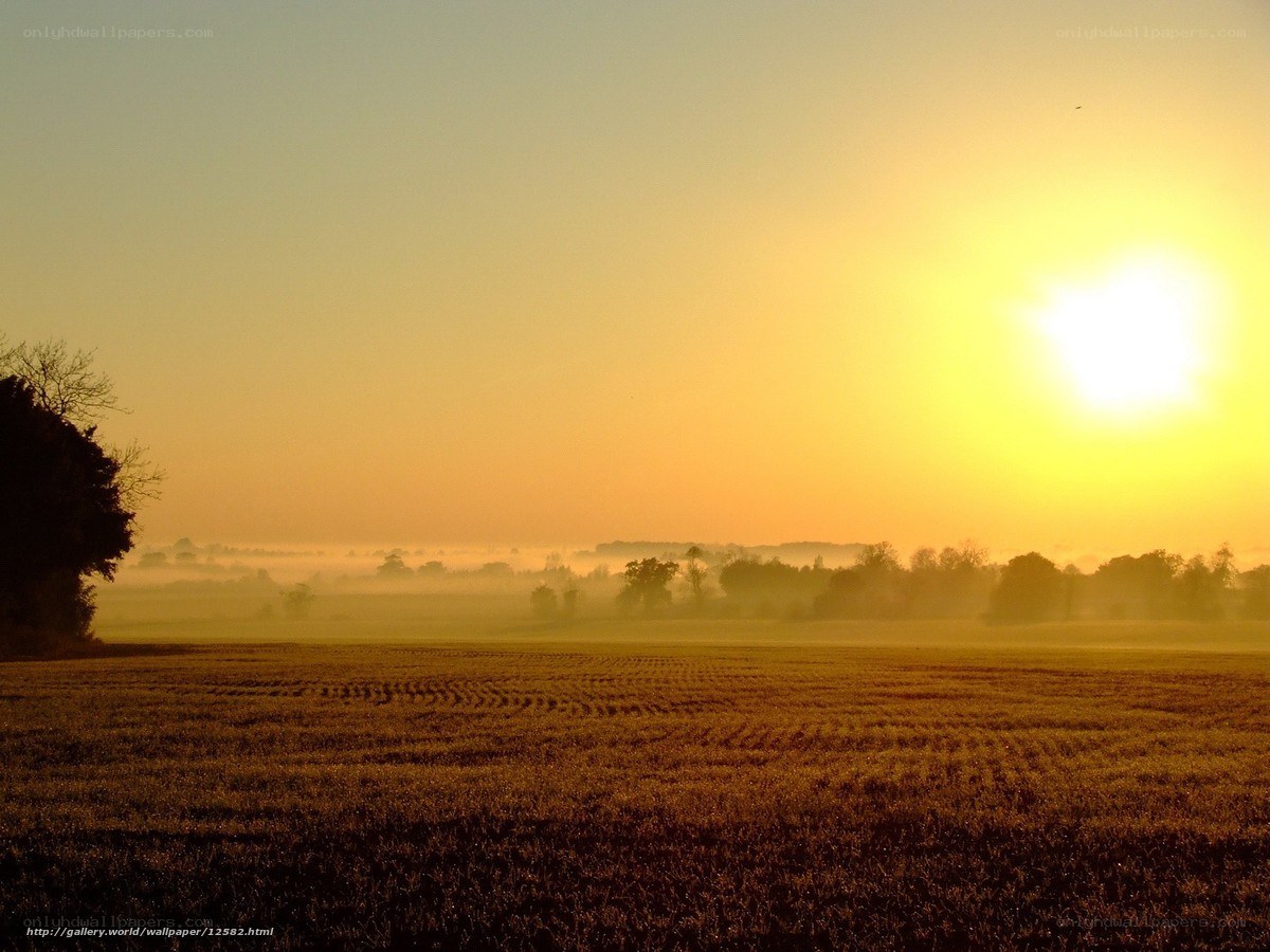 Sunrise over a misty field