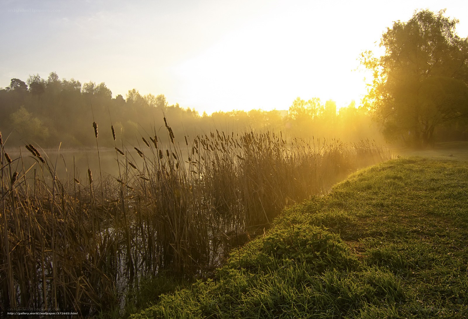Sunrise over a misty lake