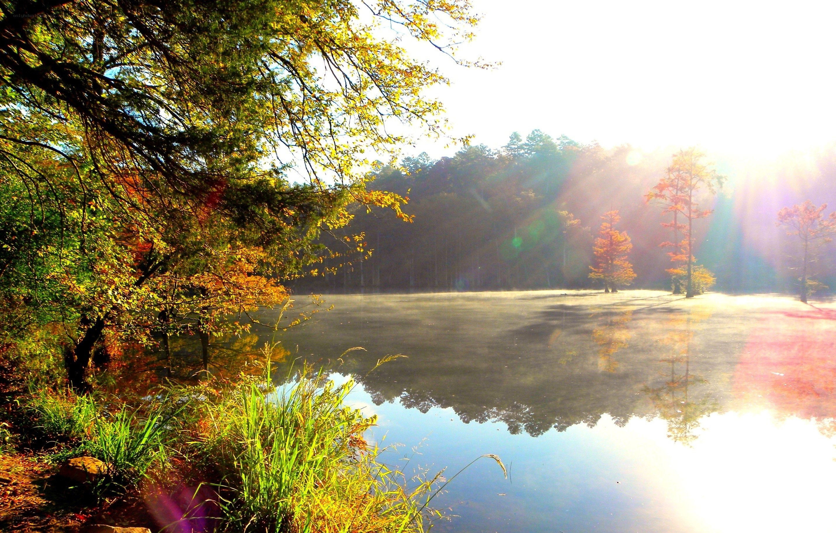 Sunrise over a misty lake