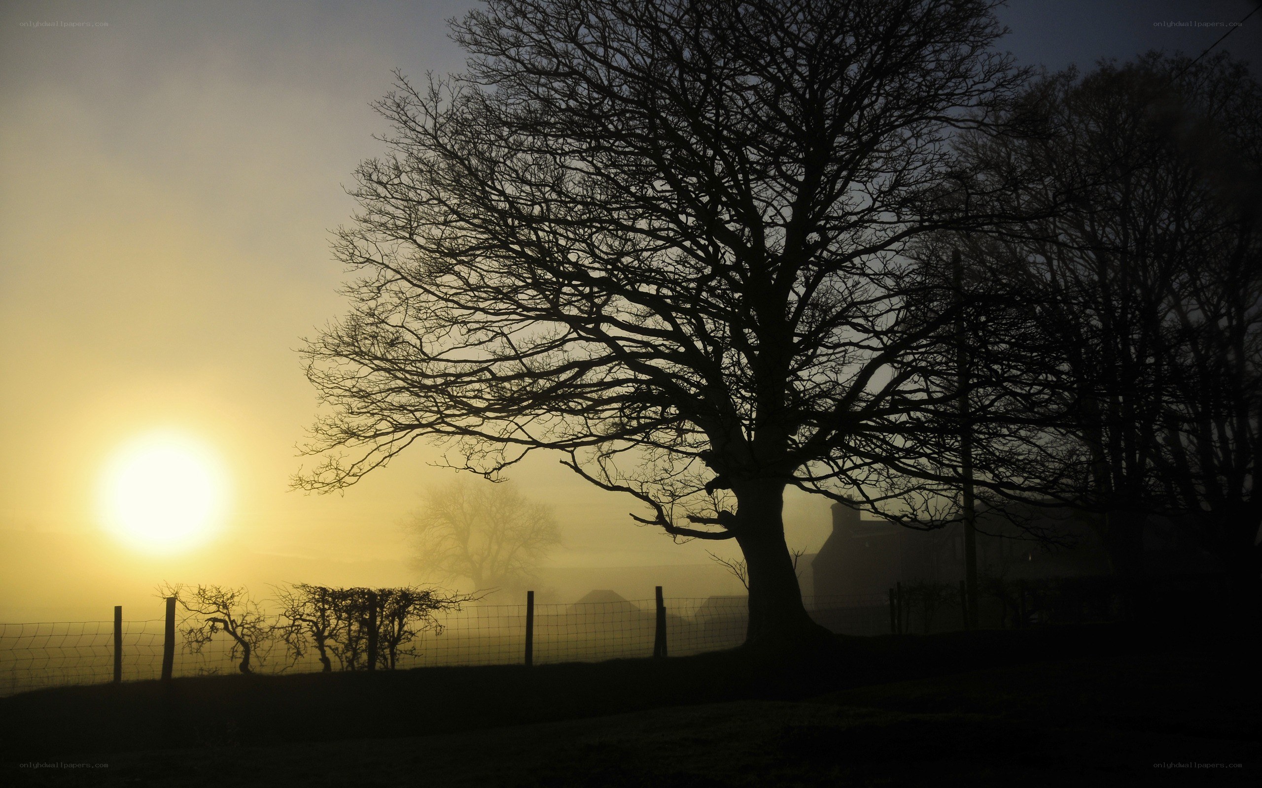 Sunrise over a misty landscape