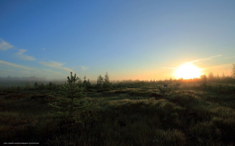 Sunrise over a misty marsh