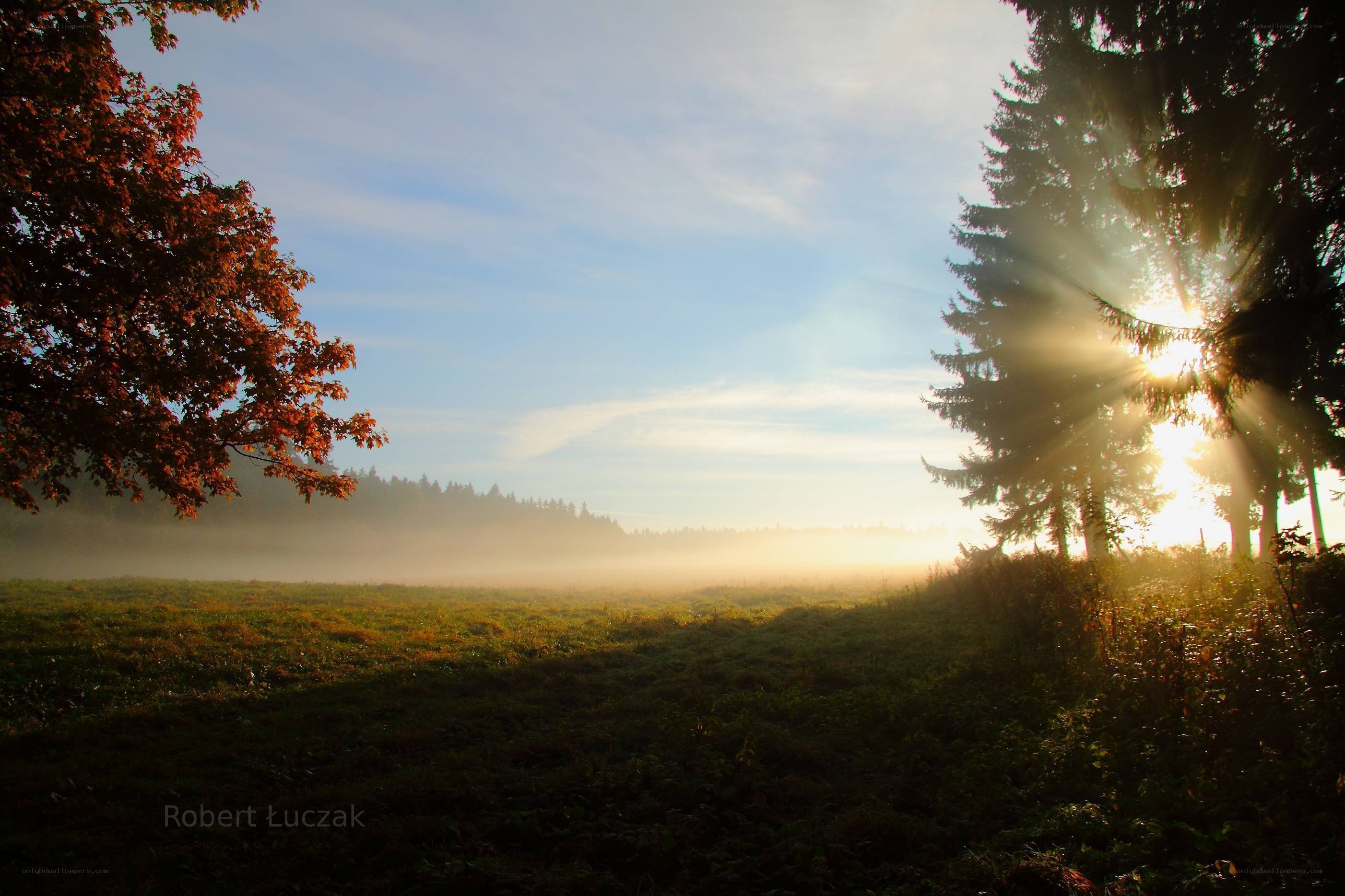 Sunrise over a misty meadow