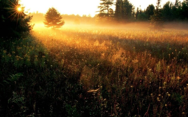 Sunrise over a misty meadow