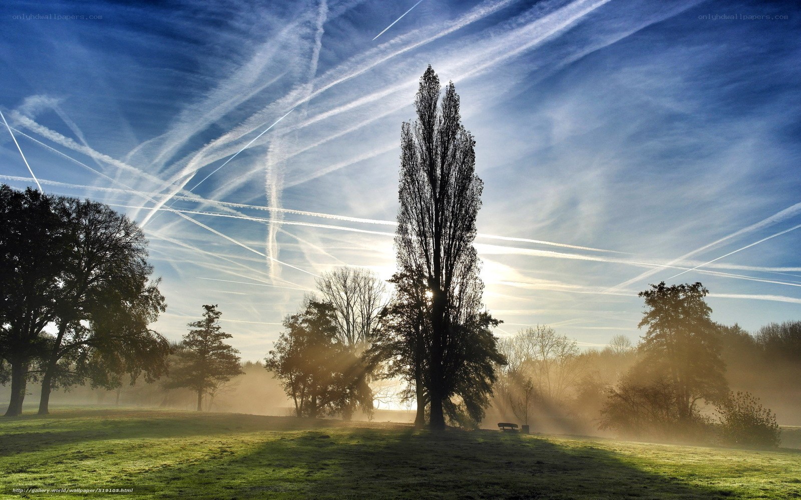 Sunrise over a misty park