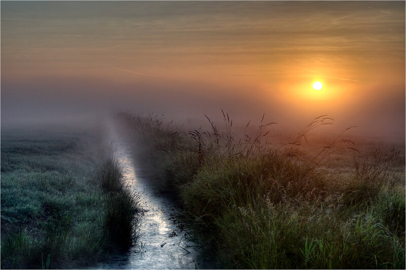 Sunrise over a misty path