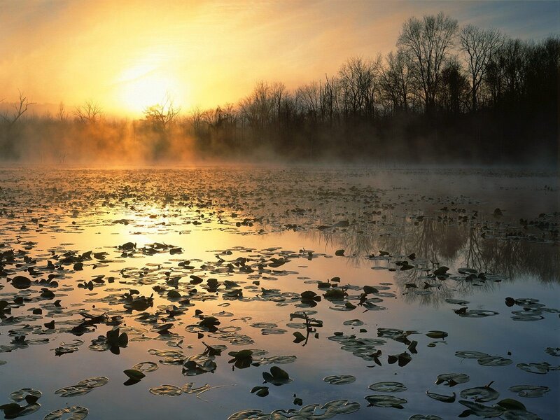 Sunrise over a misty pond