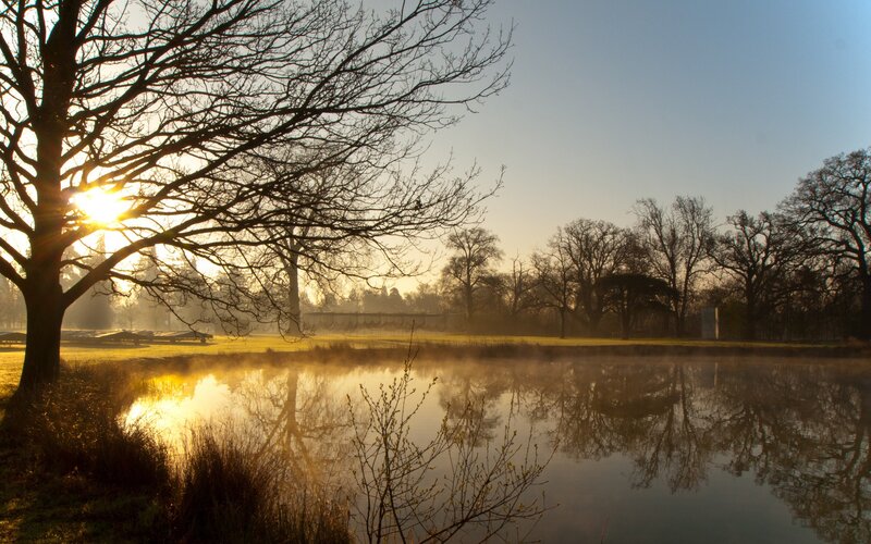 Sunrise over a misty pond