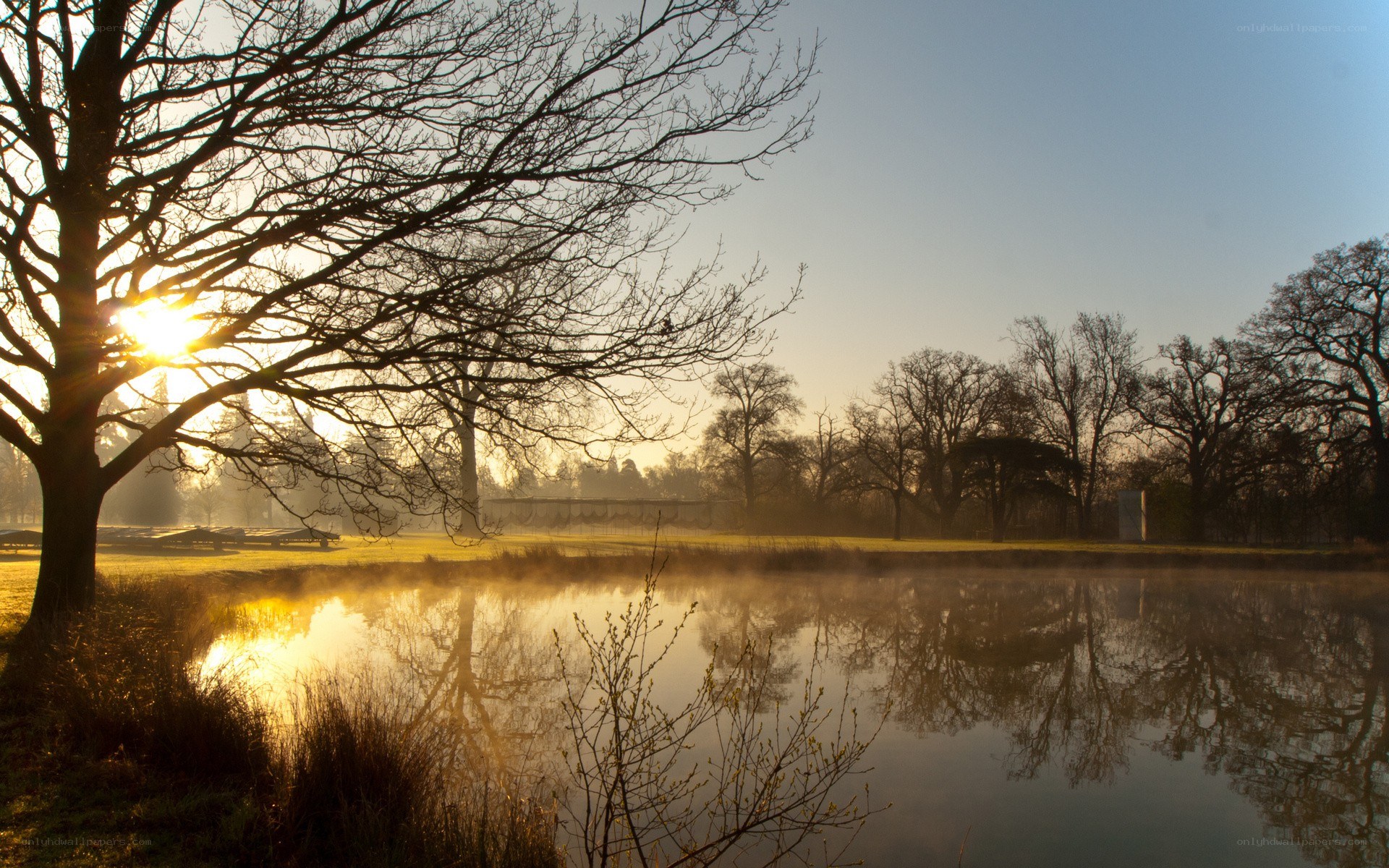 Sunrise over a misty pond