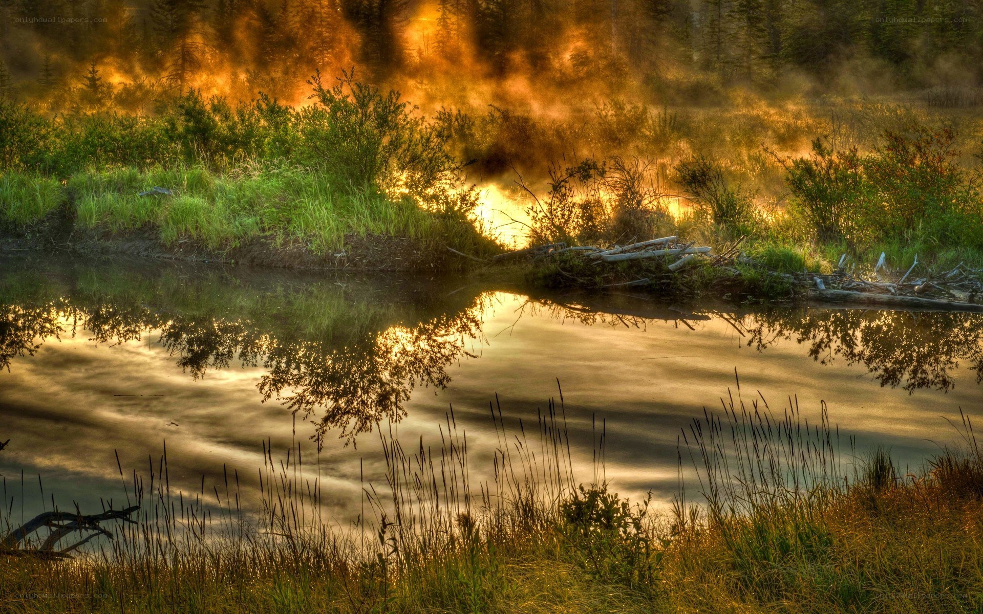 Sunrise over a misty pond