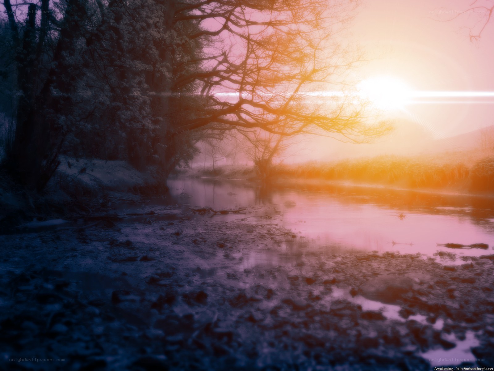 Sunrise over a misty river