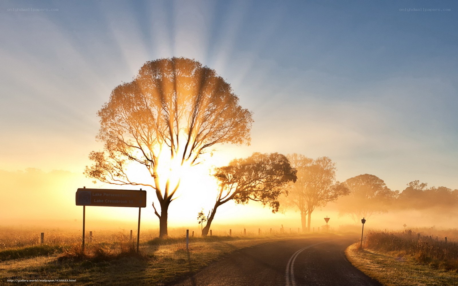 Sunrise over a misty road