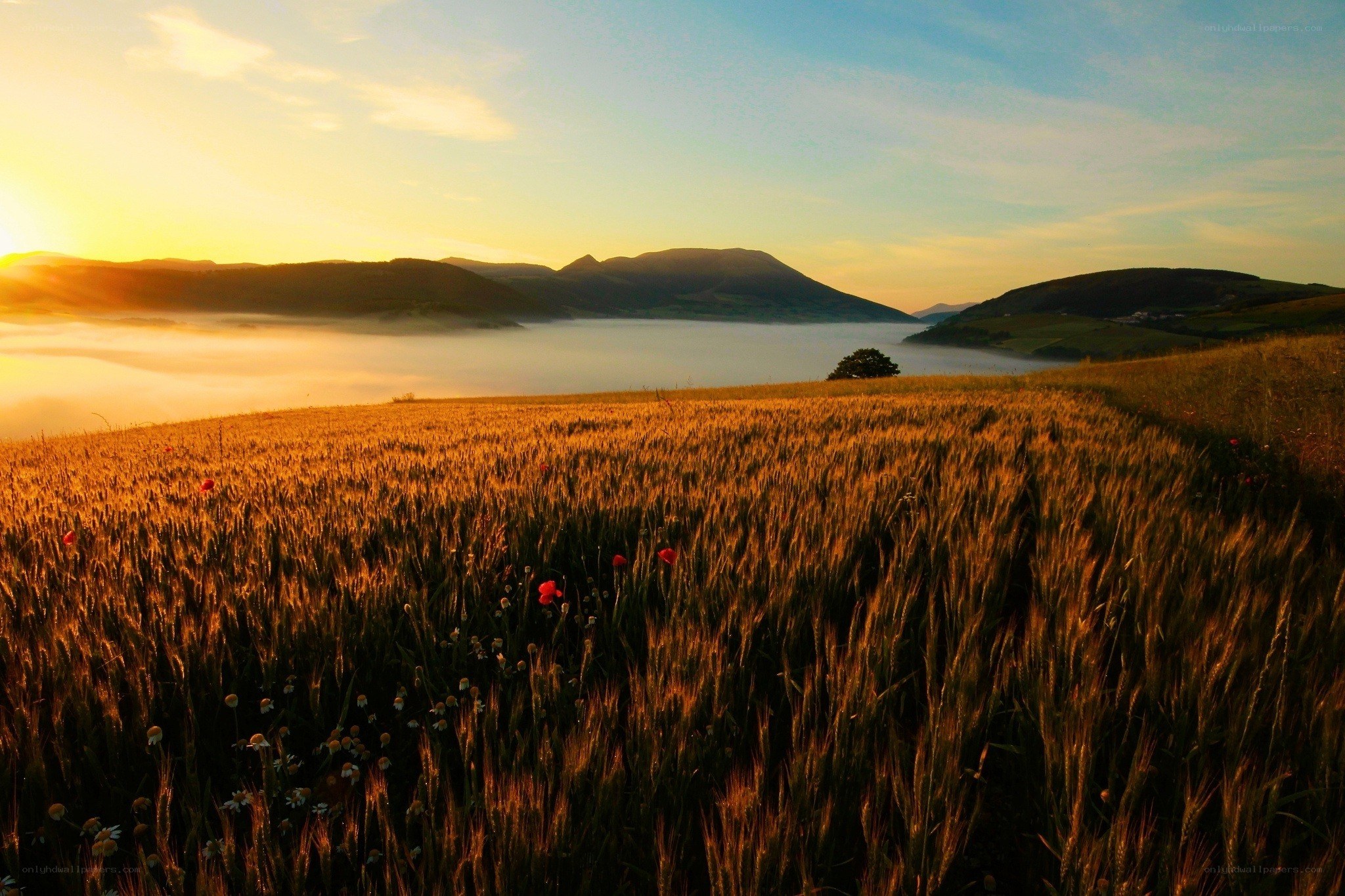 Sunrise over a misty valley