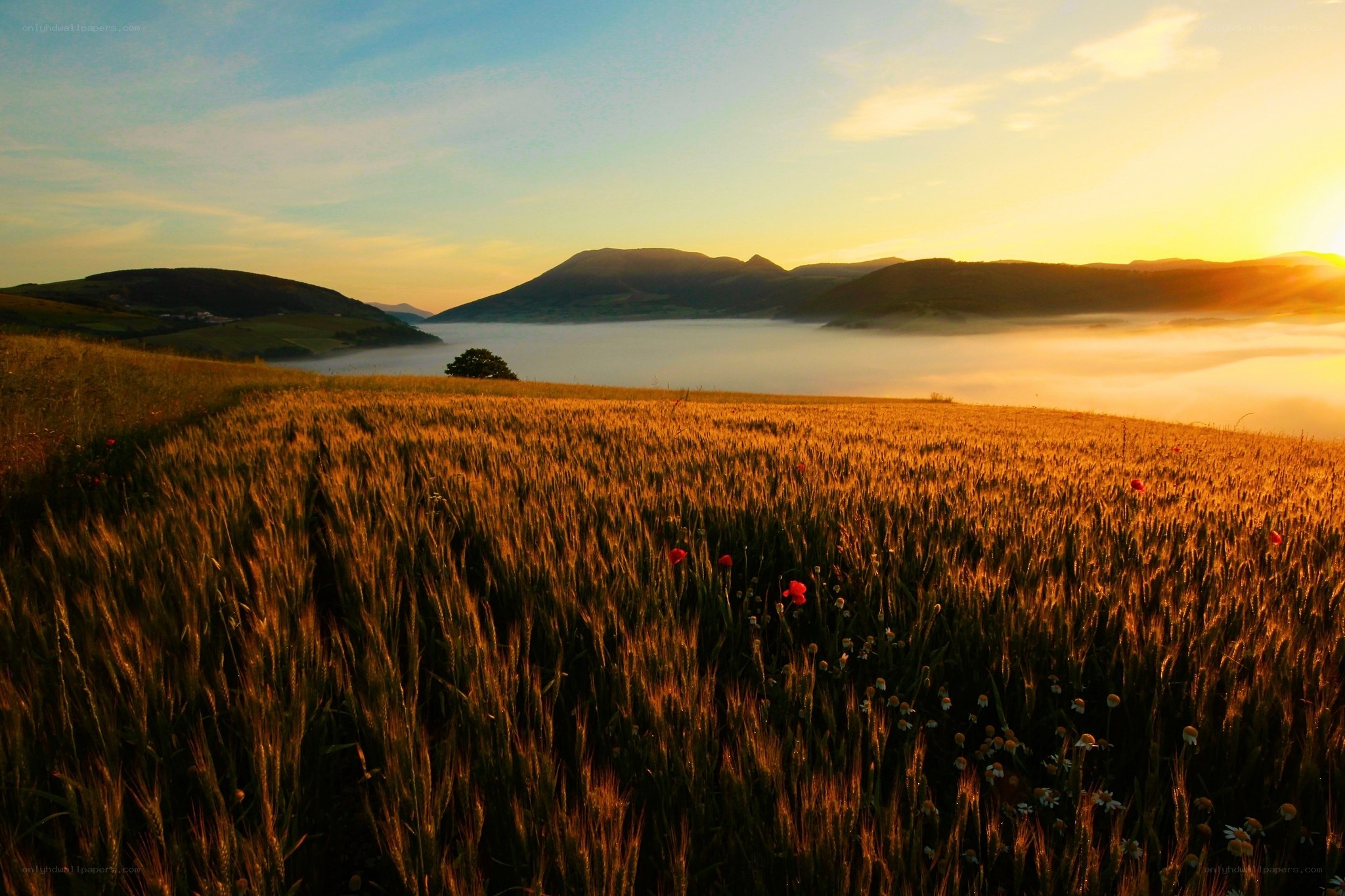 Sunrise over a misty valley