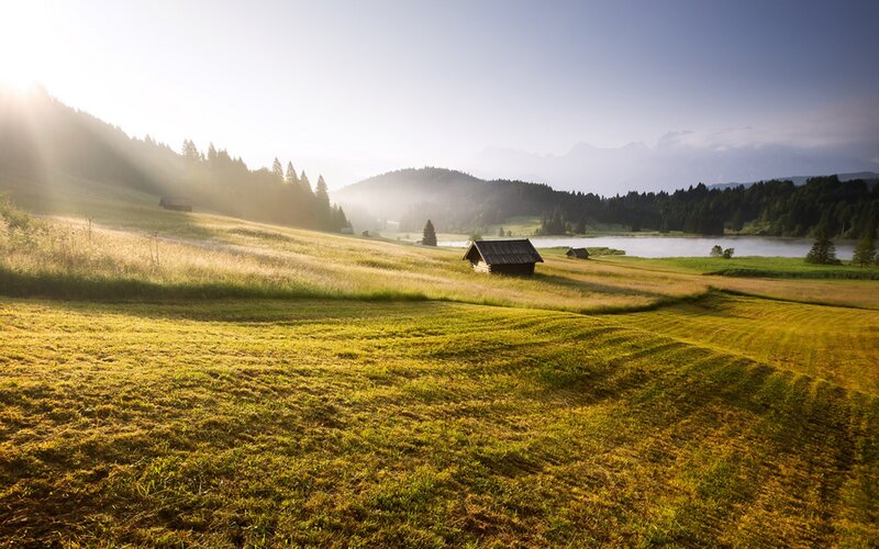 Sunrise over a mountain meadow