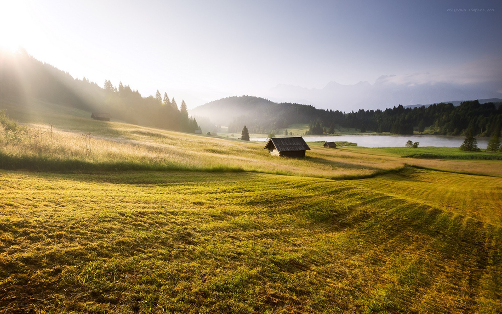 Sunrise over a mountain meadow