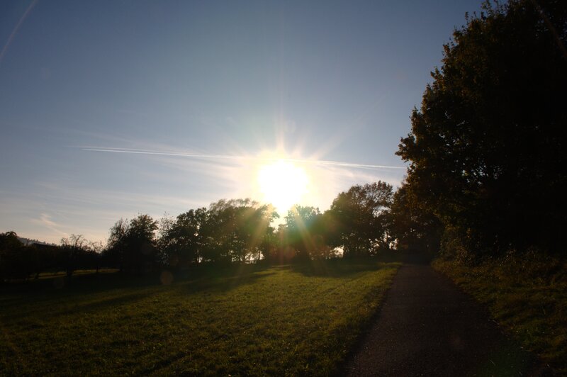 Sunrise over a park path
