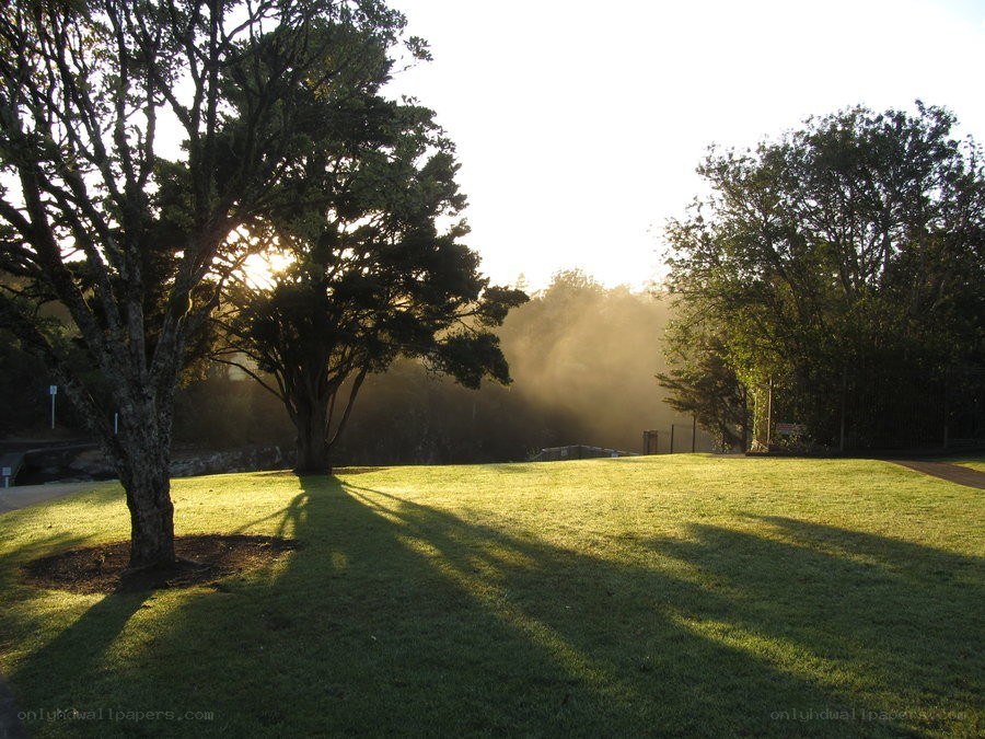 Sunrise over a park