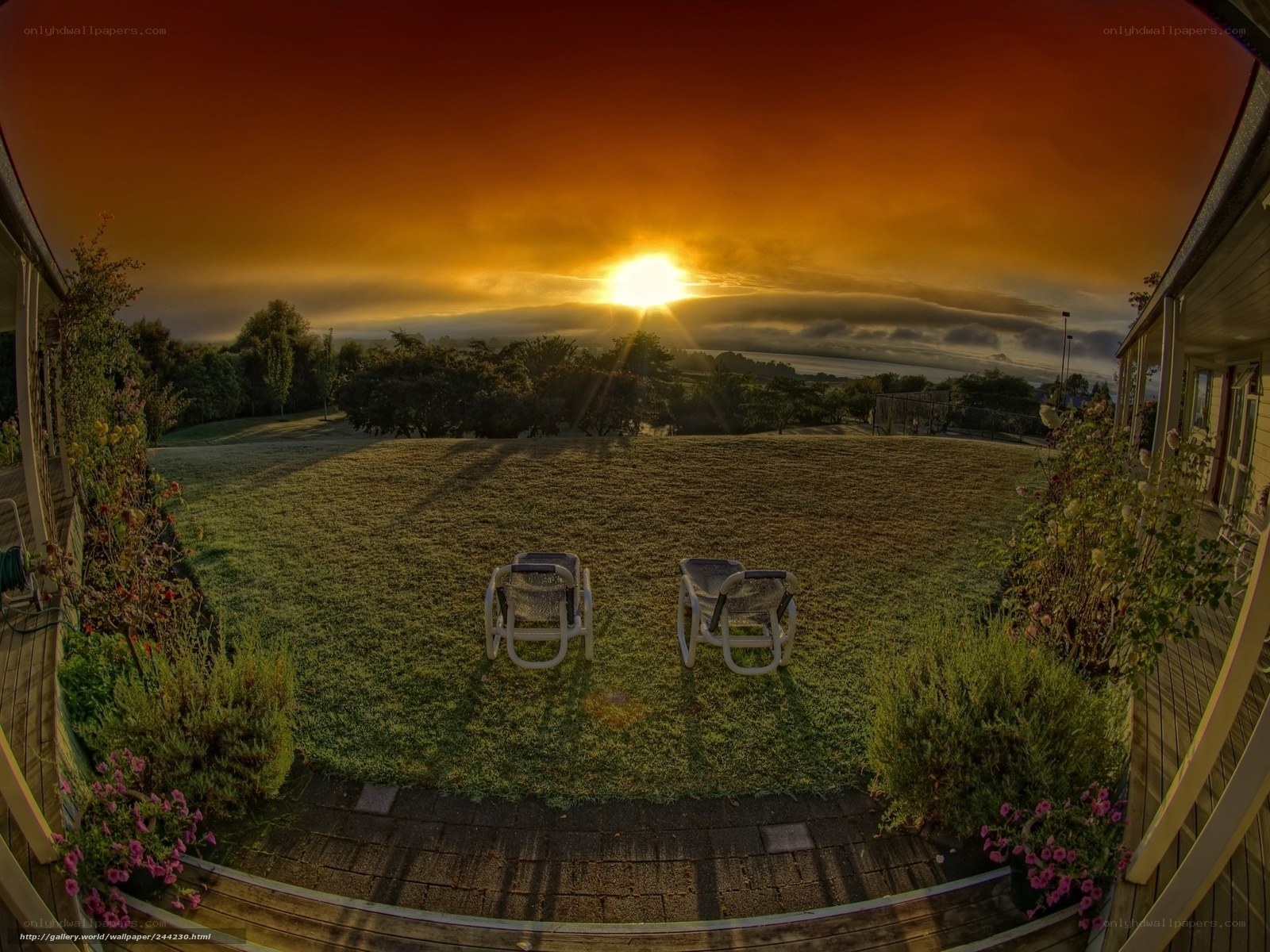 Sunrise over a peaceful yard