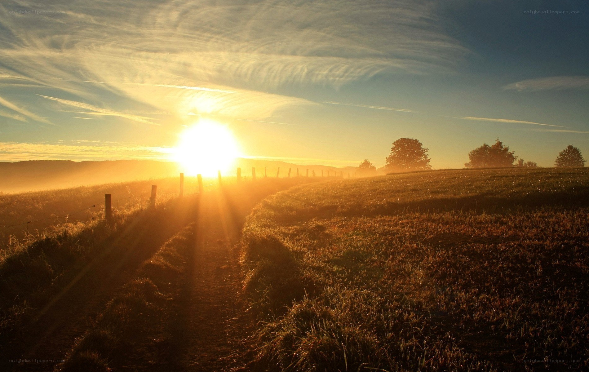 Sunrise over a rural field