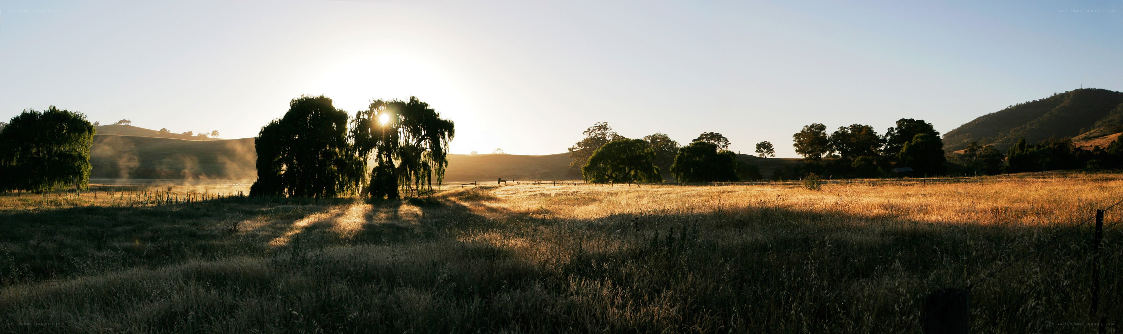Sunrise over a rural field