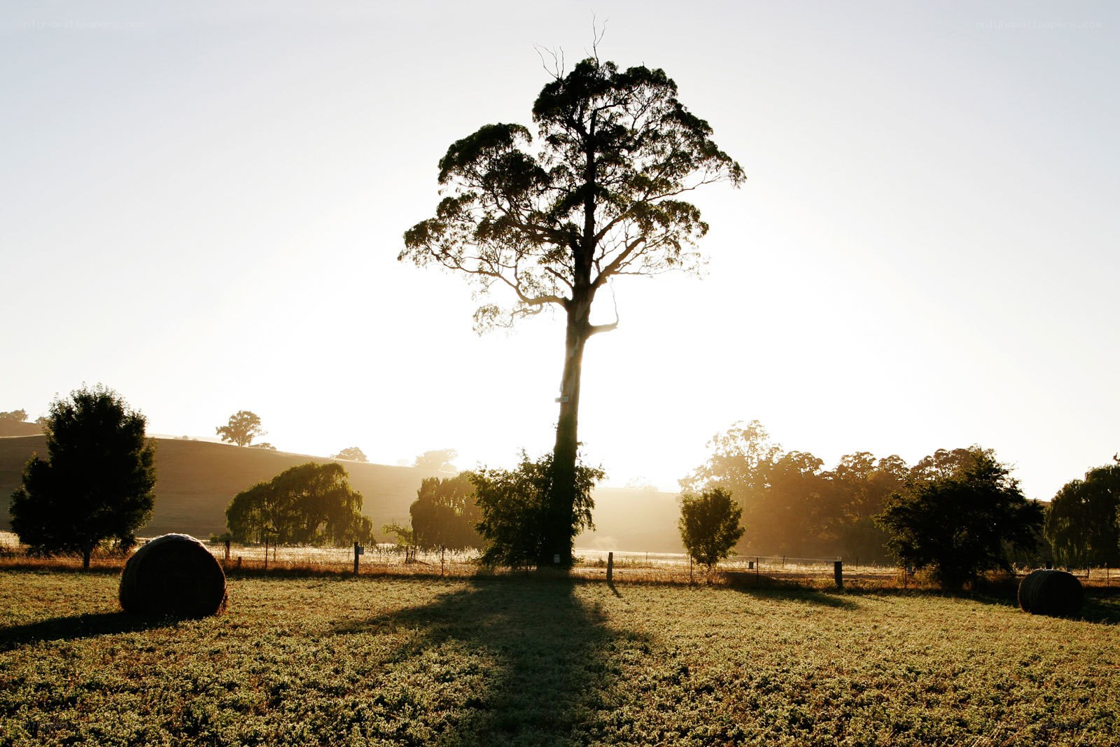 Sunrise over a rural field