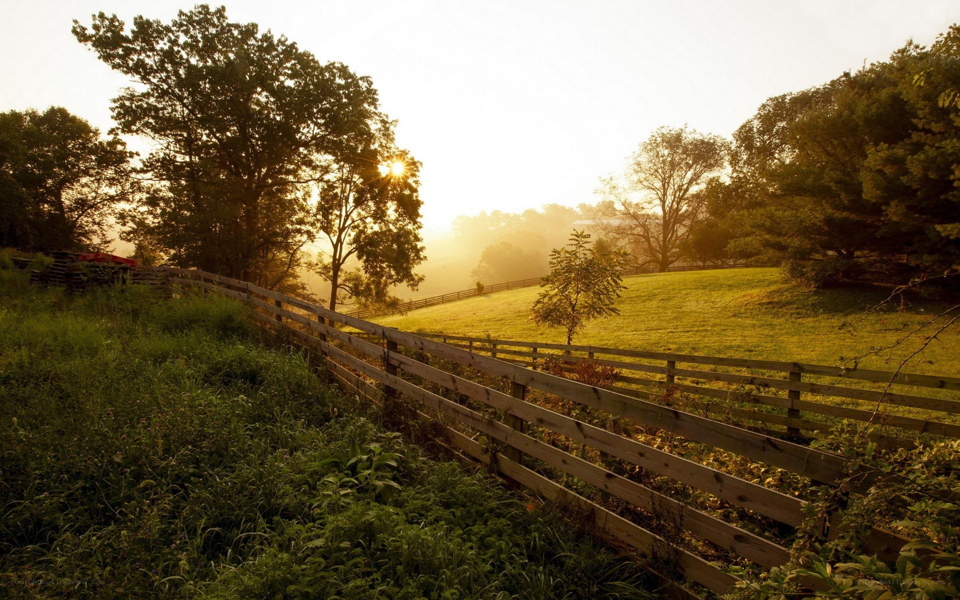 Sunrise over a rural field