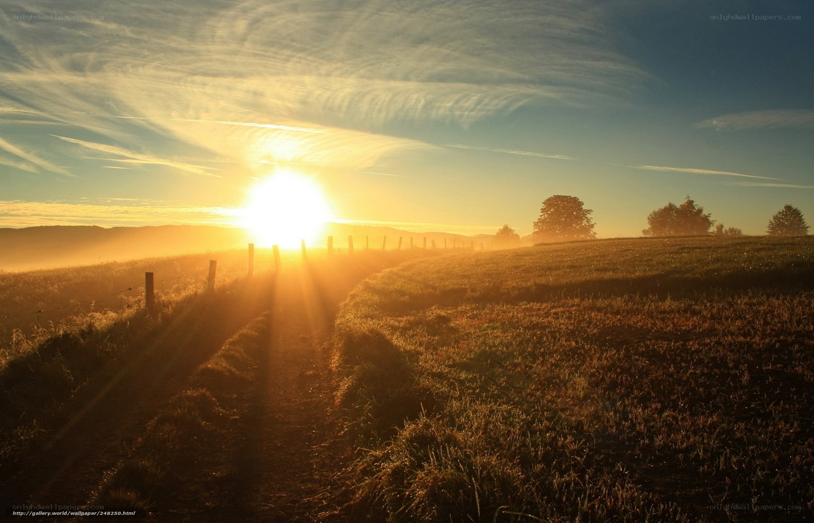 Sunrise over a rural field
