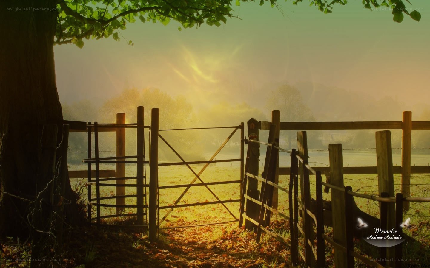 Sunrise over a rural gate